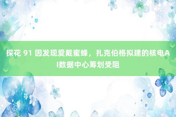 探花 91 因发现爱戴蜜蜂，扎克伯格拟建的核电AI数据中心筹划受阻