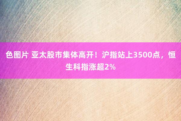 色图片 亚太股市集体高开！沪指站上3500点，恒生科指涨超2%