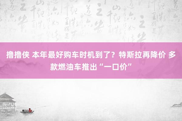 撸撸侠 本年最好购车时机到了？特斯拉再降价 多款燃油车推出“一口价”