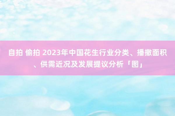 自拍 偷拍 2023年中国花生行业分类、播撒面积、供需近况及发展提议分析「图」