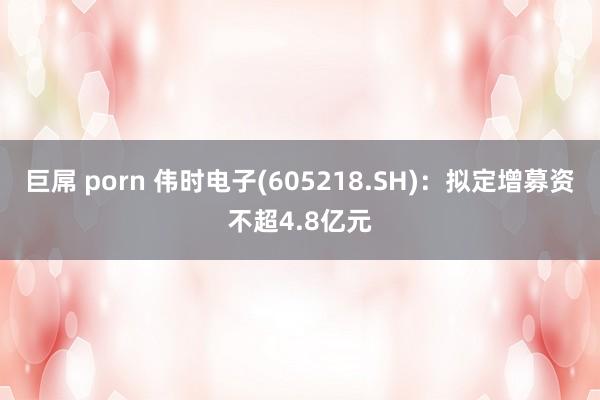 巨屌 porn 伟时电子(605218.SH)：拟定增募资不超4.8亿元