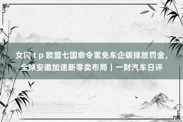 女同 t p 欧盟七国命令罢免车企碳排放罚金，全球安徽加速新零卖布局｜一财汽车日评