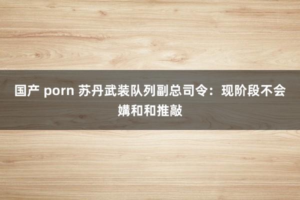 国产 porn 苏丹武装队列副总司令：现阶段不会媾和和推敲