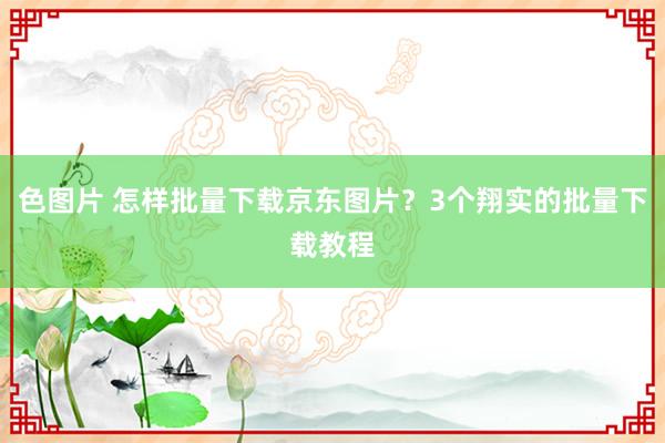 色图片 怎样批量下载京东图片？3个翔实的批量下载教程