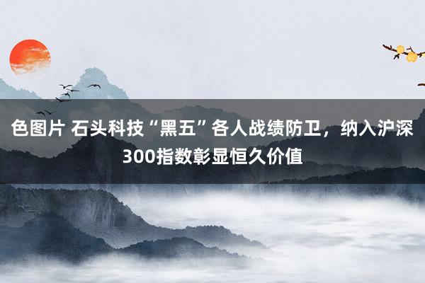 色图片 石头科技“黑五”各人战绩防卫，纳入沪深300指数彰显恒久价值