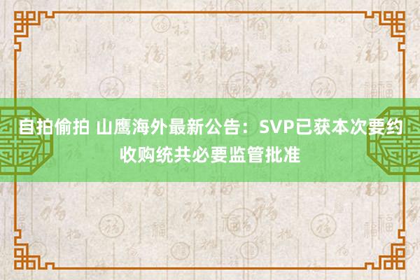 自拍偷拍 山鹰海外最新公告：SVP已获本次要约收购统共必要监管批准