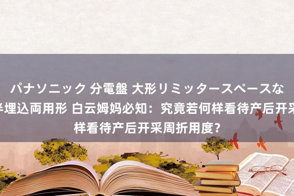 パナソニック 分電盤 大形リミッタースペースなし 露出・半埋込両用形 白云姆妈必知：究竟若何样看待产后开采周折用度？