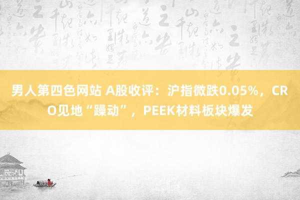 男人第四色网站 A股收评：沪指微跌0.05%，CRO见地“躁动”，PEEK材料板块爆发