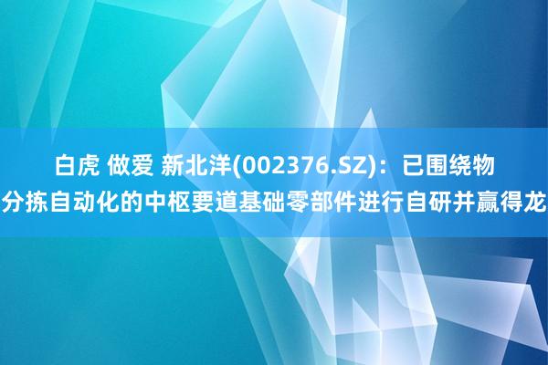 白虎 做爱 新北洋(002376.SZ)：已围绕物流分拣自动化的中枢要道基础零部件进行自研并赢得龙套