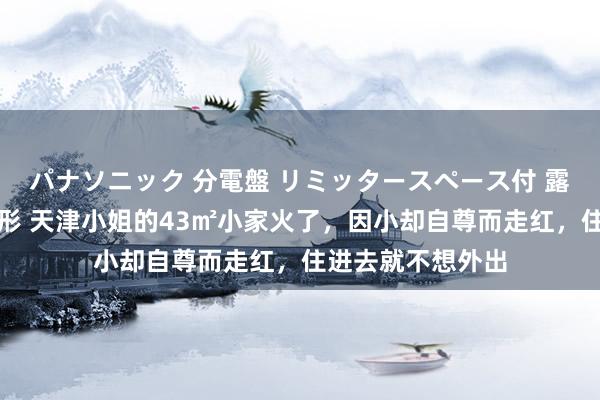 パナソニック 分電盤 リミッタースペース付 露出・半埋込両用形 天津小姐的43㎡小家火了，因小却自尊而走红，住进去就不想外出