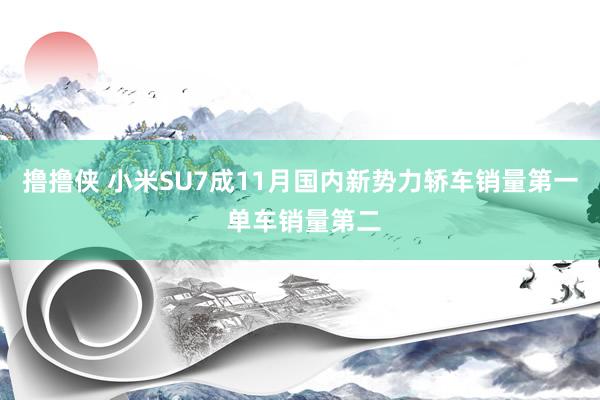 撸撸侠 小米SU7成11月国内新势力轿车销量第一 单车销量第二