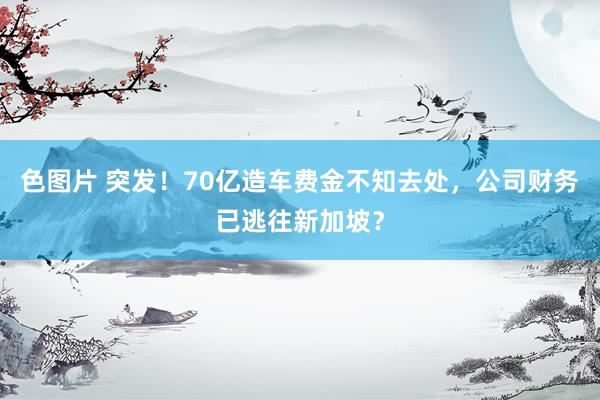 色图片 突发！70亿造车费金不知去处，公司财务已逃往新加坡？