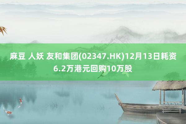 麻豆 人妖 友和集团(02347.HK)12月13日耗资6.2万港元回购10万股