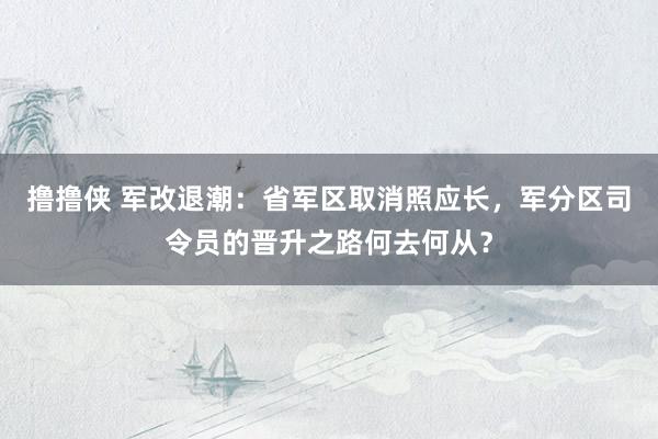 撸撸侠 军改退潮：省军区取消照应长，军分区司令员的晋升之路何去何从？