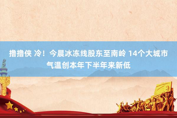 撸撸侠 冷！今晨冰冻线股东至南岭 14个大城市气温创本年下半年来新低