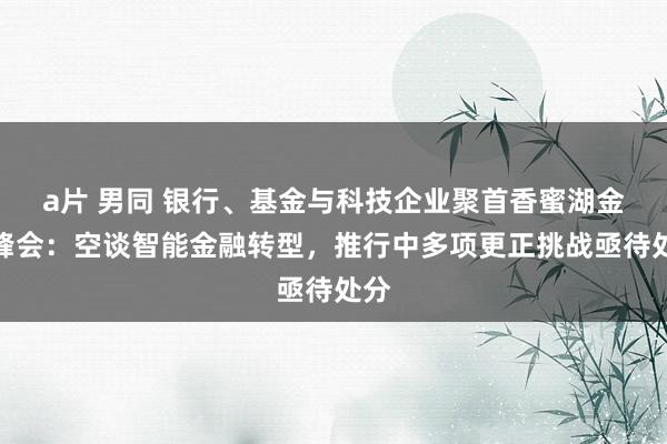 a片 男同 银行、基金与科技企业聚首香蜜湖金融峰会：空谈智能金融转型，推行中多项更正挑战亟待处分