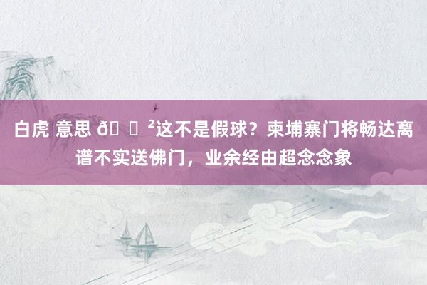 白虎 意思 😲这不是假球？柬埔寨门将畅达离谱不实送佛门，业余经由超念念象