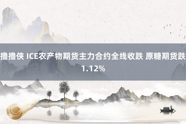 撸撸侠 ICE农产物期货主力合约全线收跌 原糖期货跌1.12%