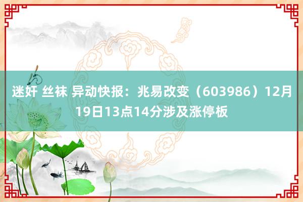 迷奸 丝袜 异动快报：兆易改变（603986）12月19日13点14分涉及涨停板