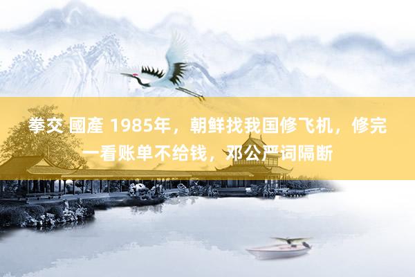 拳交 國產 1985年，朝鲜找我国修飞机，修完一看账单不给钱，邓公严词隔断