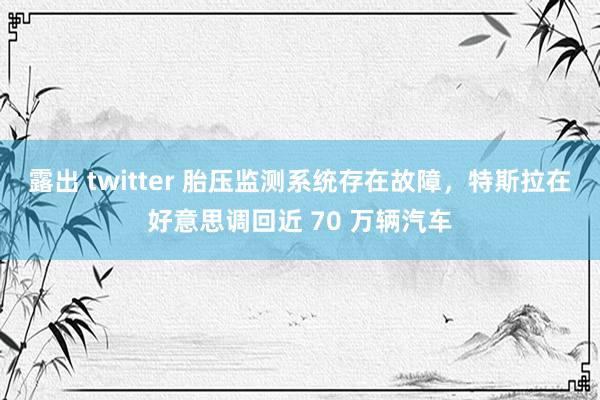 露出 twitter 胎压监测系统存在故障，特斯拉在好意思调回近 70 万辆汽车