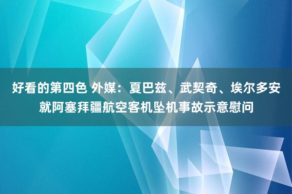 好看的第四色 外媒：夏巴兹、武契奇、埃尔多安就阿塞拜疆航空客机坠机事故示意慰问