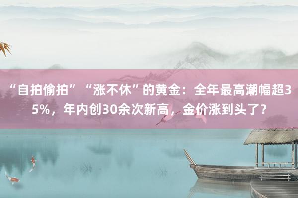 “自拍偷拍” “涨不休”的黄金：全年最高潮幅超35%，年内创30余次新高，金价涨到头了？