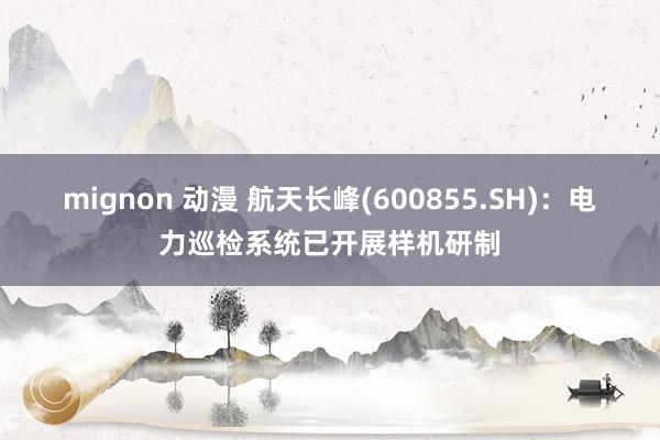 mignon 动漫 航天长峰(600855.SH)：电力巡检系统已开展样机研制