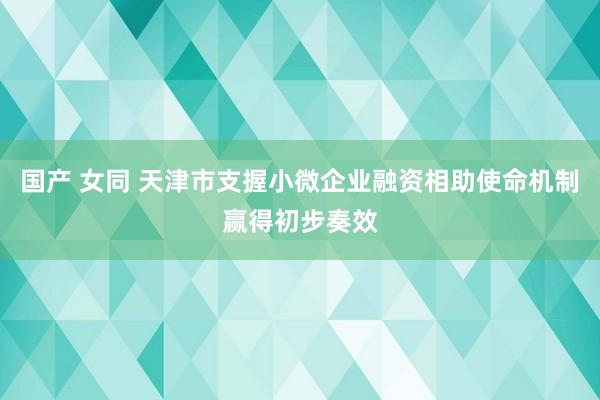 国产 女同 天津市支握小微企业融资相助使命机制赢得初步奏效