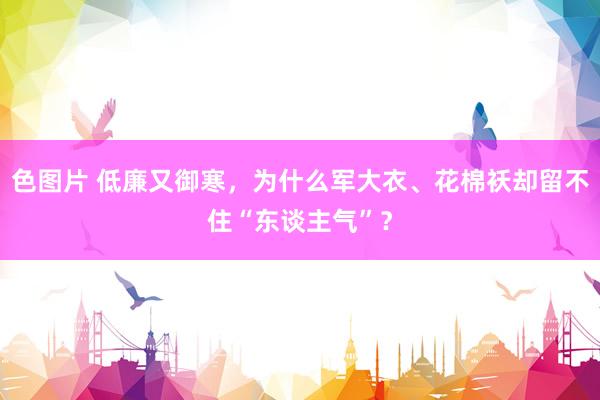 色图片 低廉又御寒，为什么军大衣、花棉袄却留不住“东谈主气”？