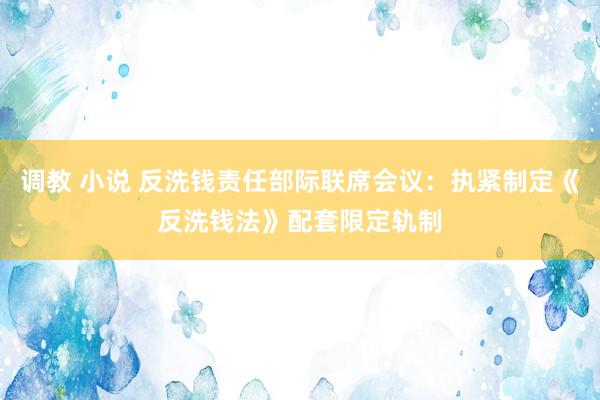 调教 小说 反洗钱责任部际联席会议：执紧制定《反洗钱法》配套限定轨制