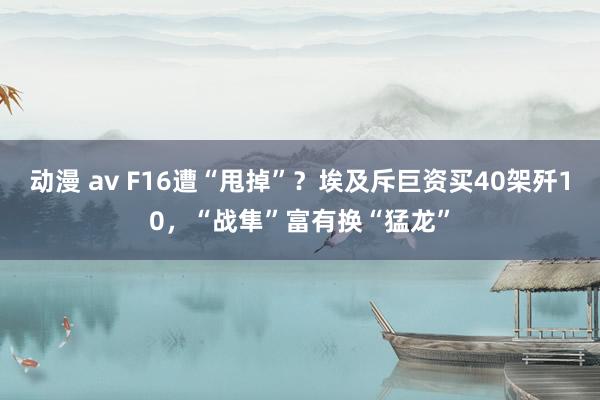 动漫 av F16遭“甩掉”？埃及斥巨资买40架歼10，“战隼”富有换“猛龙”