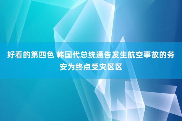 好看的第四色 韩国代总统通告发生航空事故的务安为终点受灾区区