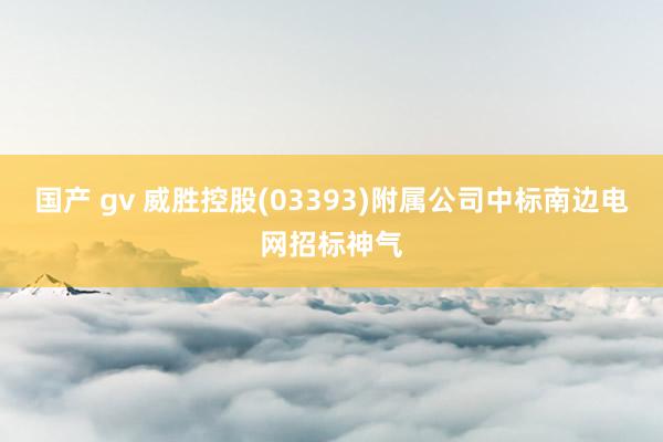 国产 gv 威胜控股(03393)附属公司中标南边电网招标神气