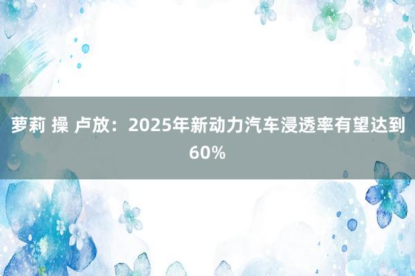 萝莉 操 卢放：2025年新动力汽车浸透率有望达到60%