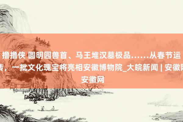 撸撸侠 圆明园兽首、马王堆汉墓极品……从春节运转，一批文化瑰宝将亮相安徽博物院_大皖新闻 | 安徽网