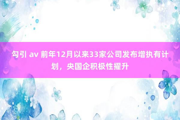 勾引 av 前年12月以来33家公司发布增执有计划，央国企积极性擢升