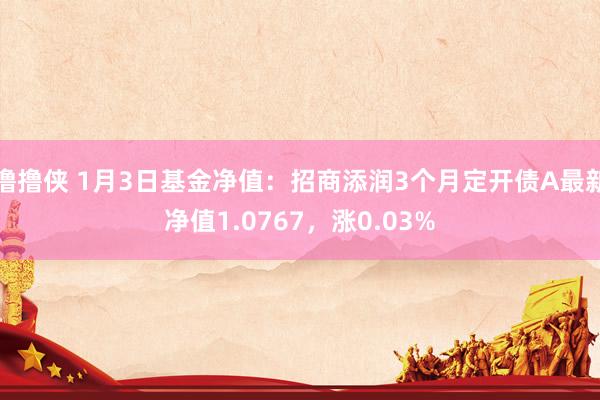 撸撸侠 1月3日基金净值：招商添润3个月定开债A最新净值1.0767，涨0.03%