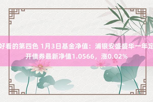 好看的第四色 1月3日基金净值：浦银安盛盛华一年定开债券最新净值1.0566，涨0.02%