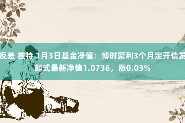 反差 推特 1月3日基金净值：博时聚利3个月定开债发起式最新净值1.0736，涨0.03%