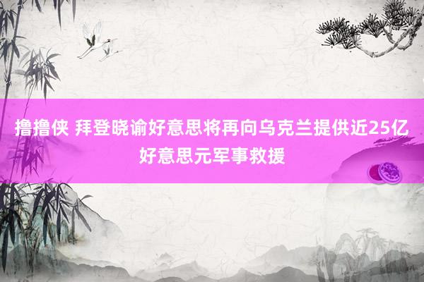 撸撸侠 拜登晓谕好意思将再向乌克兰提供近25亿好意思元军事救援