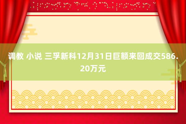 调教 小说 三孚新科12月31日巨额来回成交586.20万元