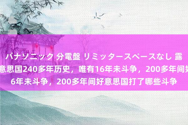 パナソニック 分電盤 リミッタースペースなし 露出・半埋込両用形 好意思国240多年历史，唯有16年未斗争，200多年间好意思国打了哪些斗争