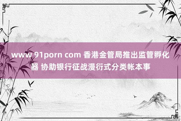 www 91porn com 香港金管局推出监管孵化器 协助银行征战漫衍式分类帐本事