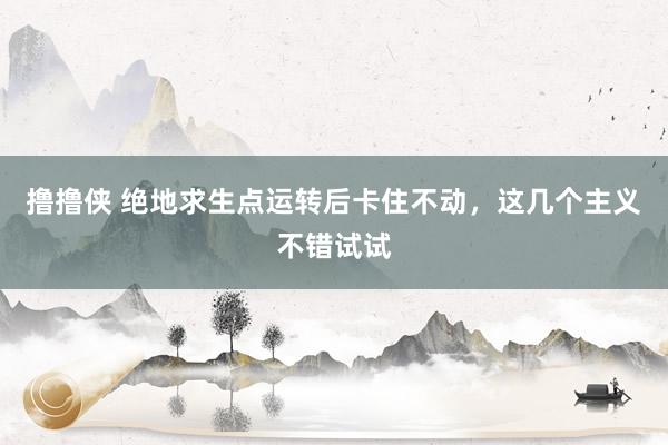 撸撸侠 绝地求生点运转后卡住不动，这几个主义不错试试