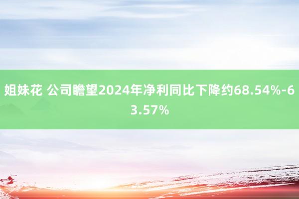 姐妹花 公司瞻望2024年净利同比下降约68.54%-63.57%