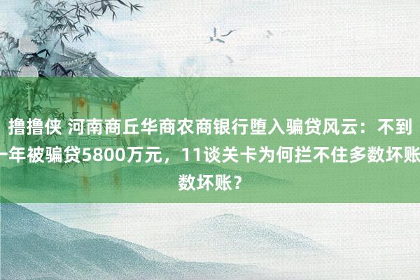 撸撸侠 河南商丘华商农商银行堕入骗贷风云：不到一年被骗贷5800万元，11谈关卡为何拦不住多数坏账？