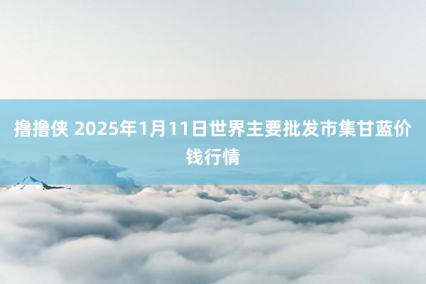 撸撸侠 2025年1月11日世界主要批发市集甘蓝价钱行情