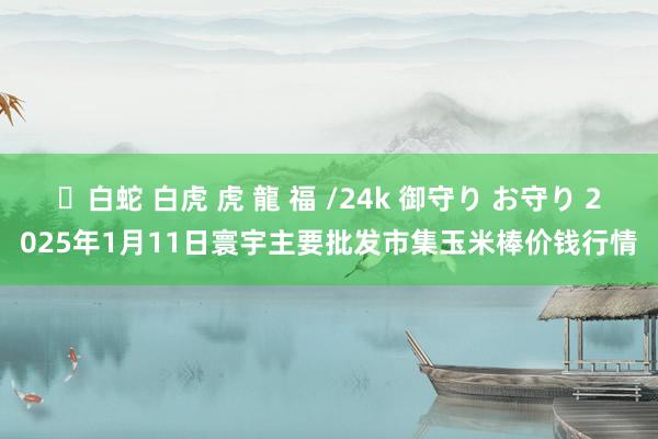 ✨白蛇 白虎 虎 龍 福 /24k 御守り お守り 2025年1月11日寰宇主要批发市集玉米棒价钱行情