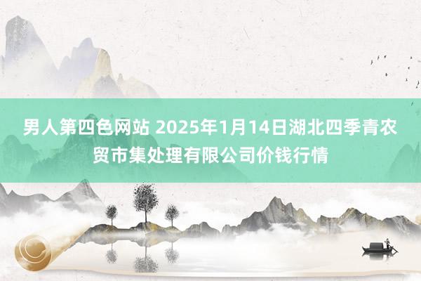 男人第四色网站 2025年1月14日湖北四季青农贸市集处理有限公司价钱行情